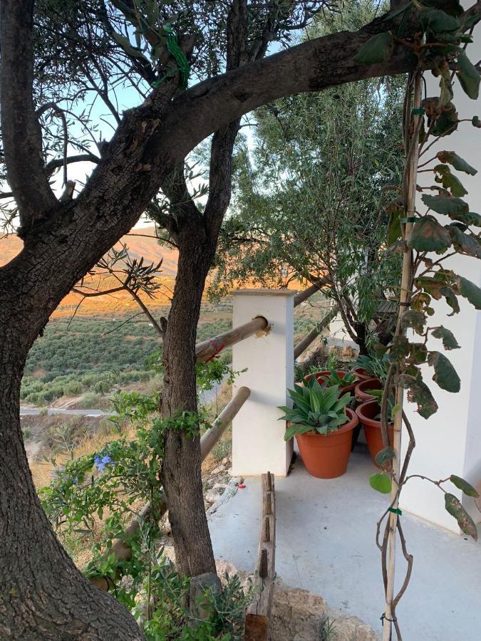 Cortijo Samadhi Casa de hóspedes Lanjarón Exterior foto